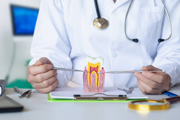 Best Chipped Tooth Repair Near Me  in East Williston, NY